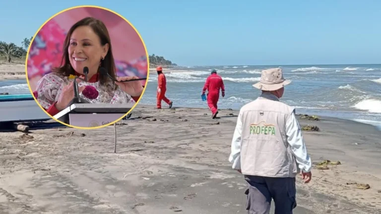 Rocío Nahle y el enigma del chapopote en Veracruz: entre la política y la ciencia
