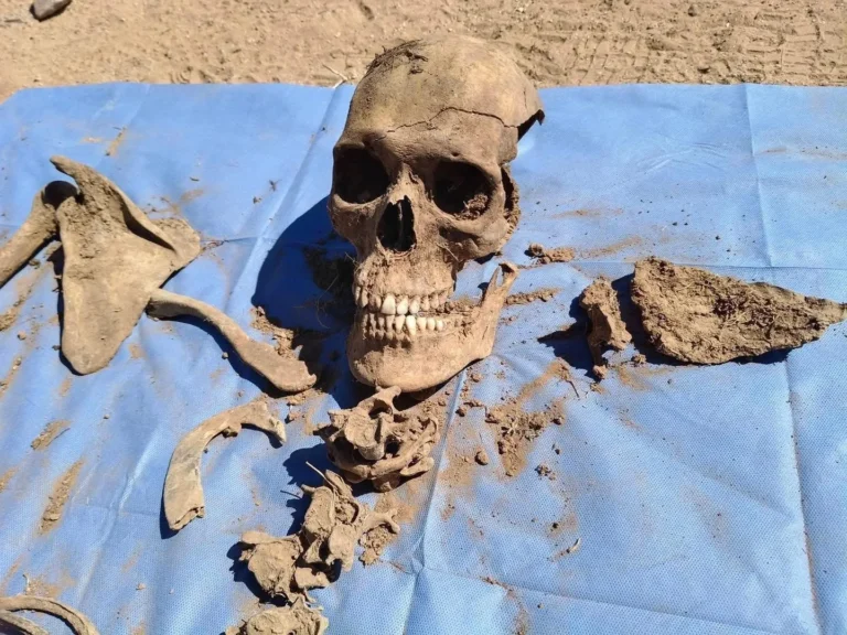 Tras las huellas del desierto: el hallazgo forense que rompe el silencio en Sonoyta