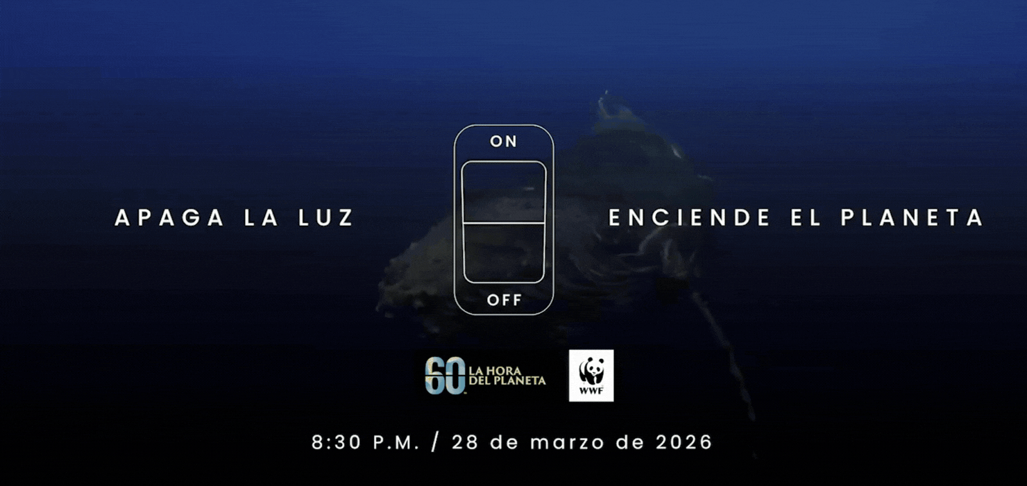 La Hora del Planeta 2026: Impacto en el Capitalismo Simbólico y el Mercado de Carbono