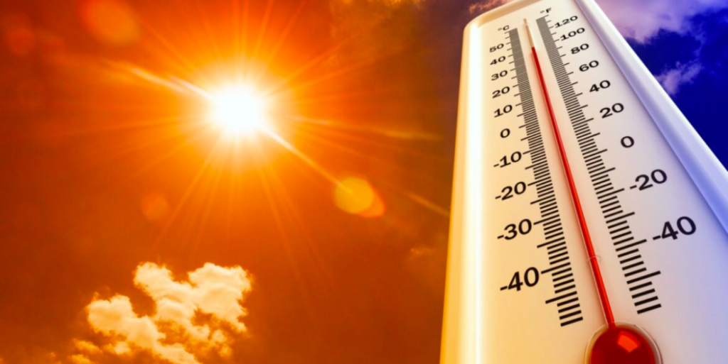 Ola de calor 2026 en México: guía de supervivencia ante el estrés térmico extremo