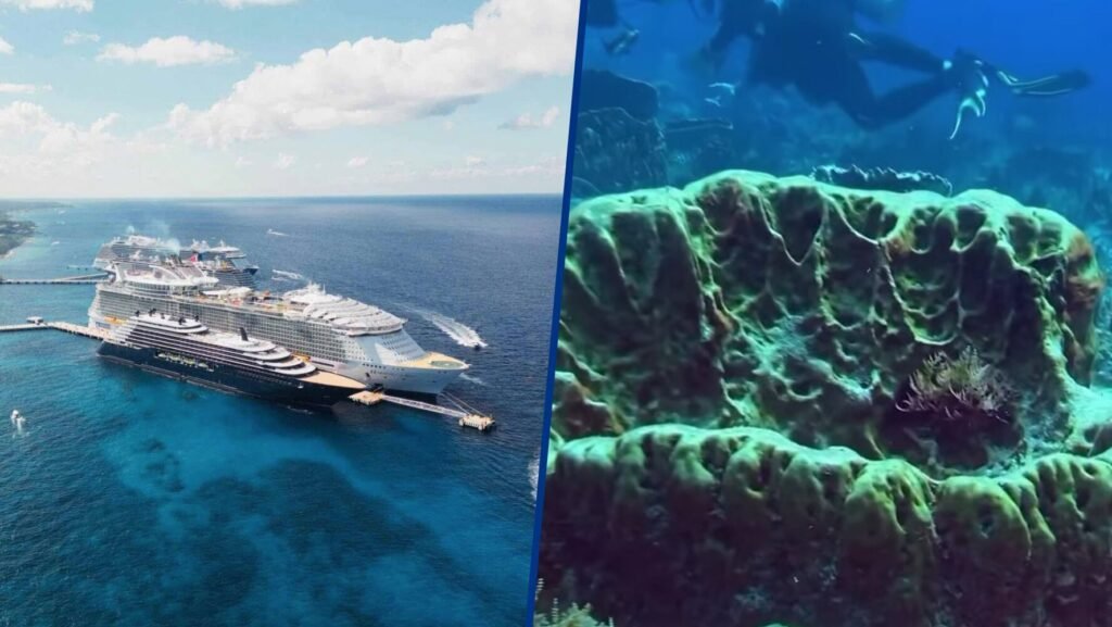 Ecosidio legalizado en Mahahual: el polémico triunfo de Royal Caribbean