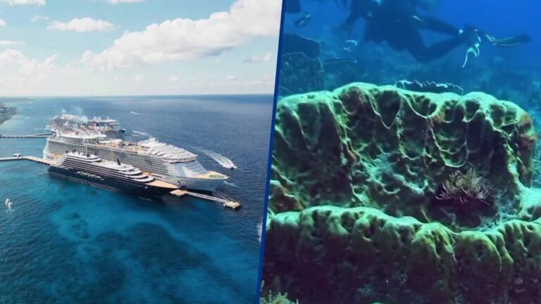 Ecosidio legalizado en Mahahual: el polémico triunfo de Royal Caribbean