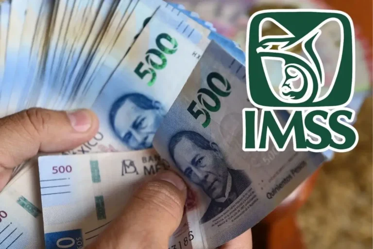 El mito de la exclusividad bancaria: La Pensión IMSS aterriza en el Banco del Bienestar
