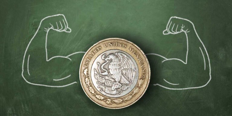 El mito del superpeso: la divisa resiliente desmantela los márgenes de exportación