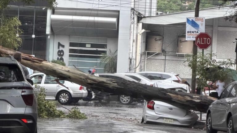 Colapso vial y daños: tormentas revelan vulnerabilidad en el Valle de México