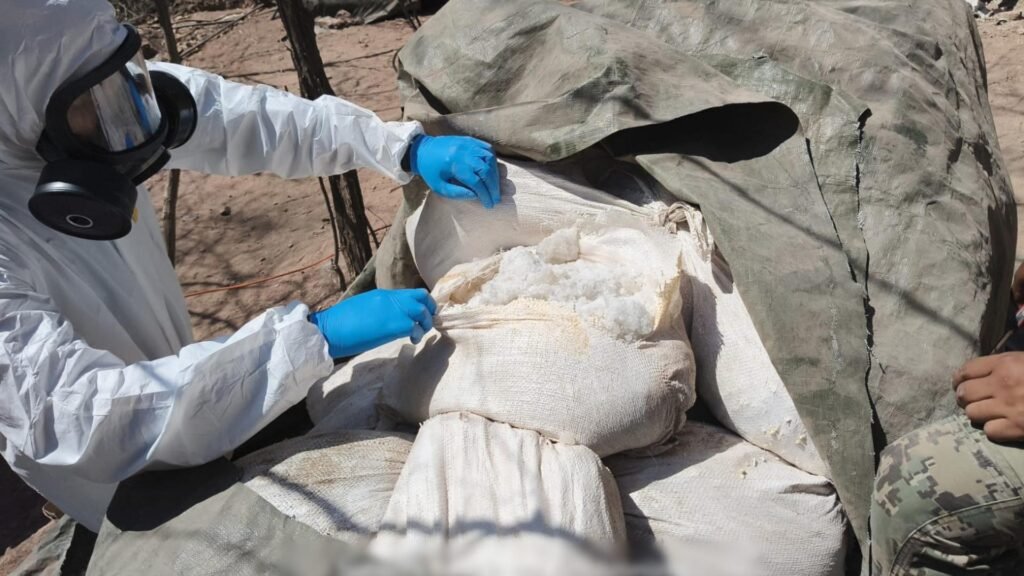 Inhabilitación de narcolaboratorios por Semar afecta la logística de Los Mayos