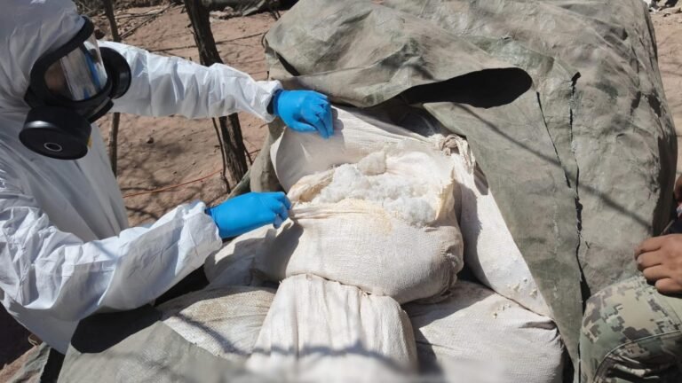 Inhabilitación de narcolaboratorios por Semar afecta la logística de Los Mayos