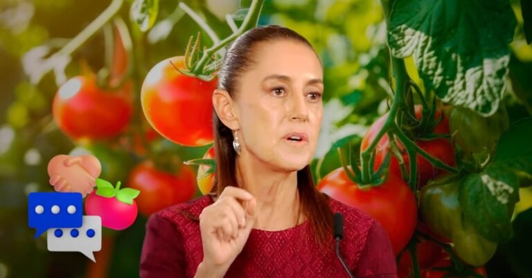 México blinda el jitomate: El pacto de Sheinbaum contra la escasez
